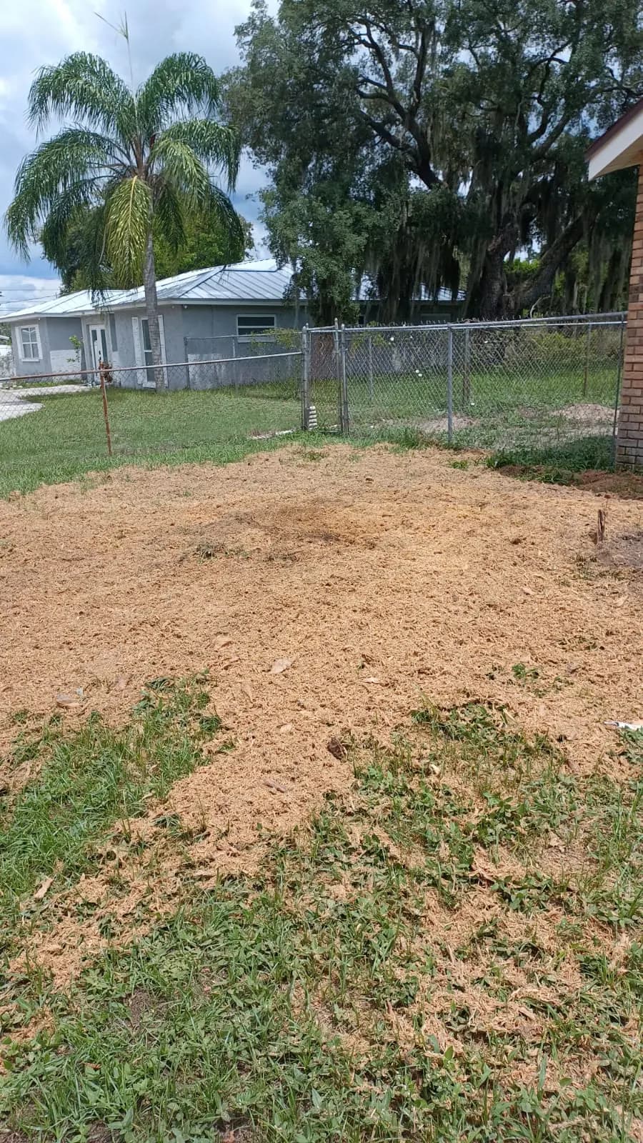Yard after stump grinding with fresh mulch